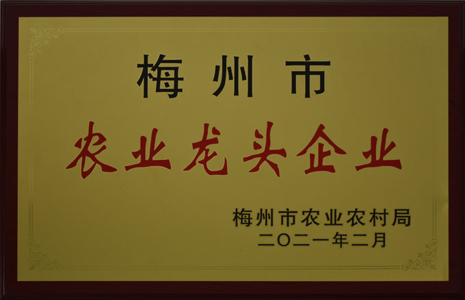 環(huán)境展示